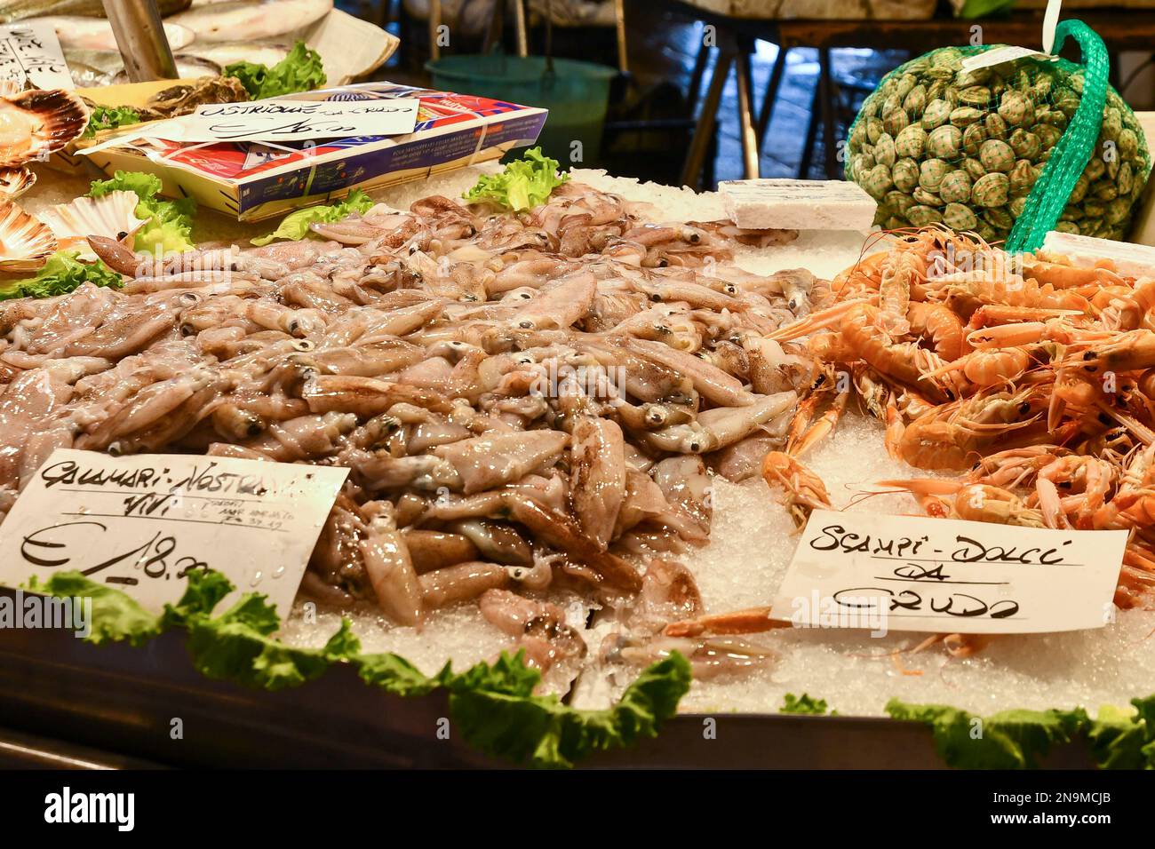Primo piano della cattura della giornata alla Loggia del mercato ittico di Rialto con calamari, scampi e vongole, sestiere di San Polo, Venezia, Veneto, Italia Foto Stock