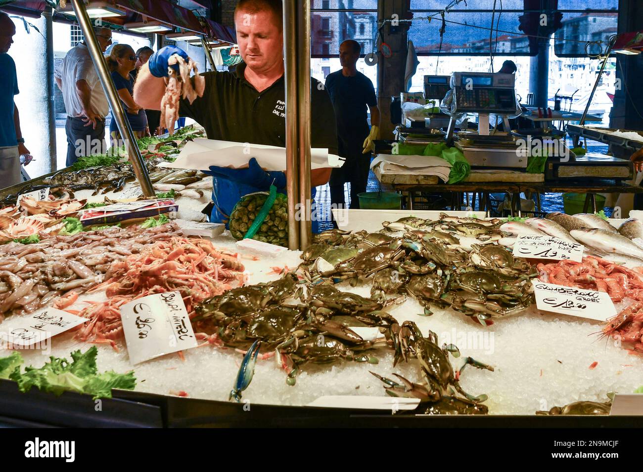 Pescivendoli che organizzano il pescato del giorno sul banco sotto la Loggia del mercato del pesce sul Canal Grande, sestiere di San Polo, Venezia, Italia Foto Stock