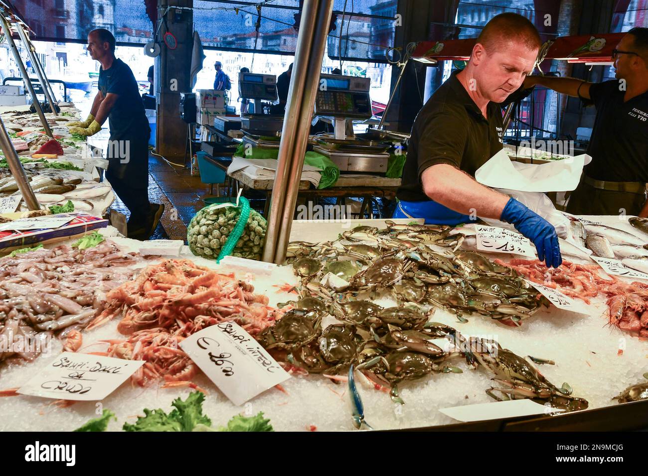 Pescivendoli che organizzano il pescato del giorno sul banco sotto la Loggia del mercato del pesce sul Canal Grande, sestiere di San Polo, Venezia, Italia Foto Stock