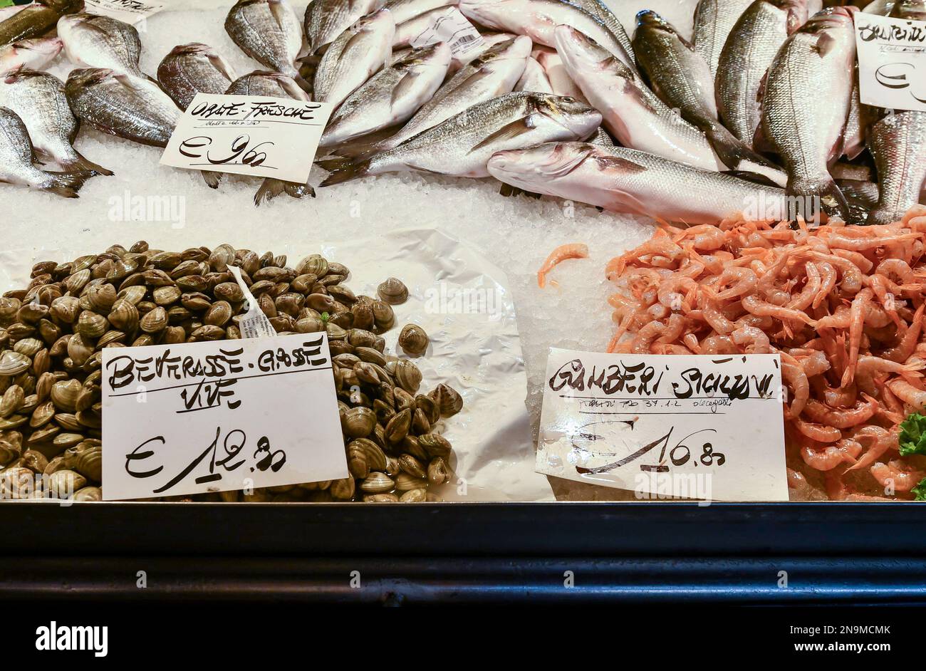 Primo piano delle catture della giornata al mercato del pesce di Rialto con gamberi, vongole e orate di mare, Venezia, Veneto, Italia Foto Stock