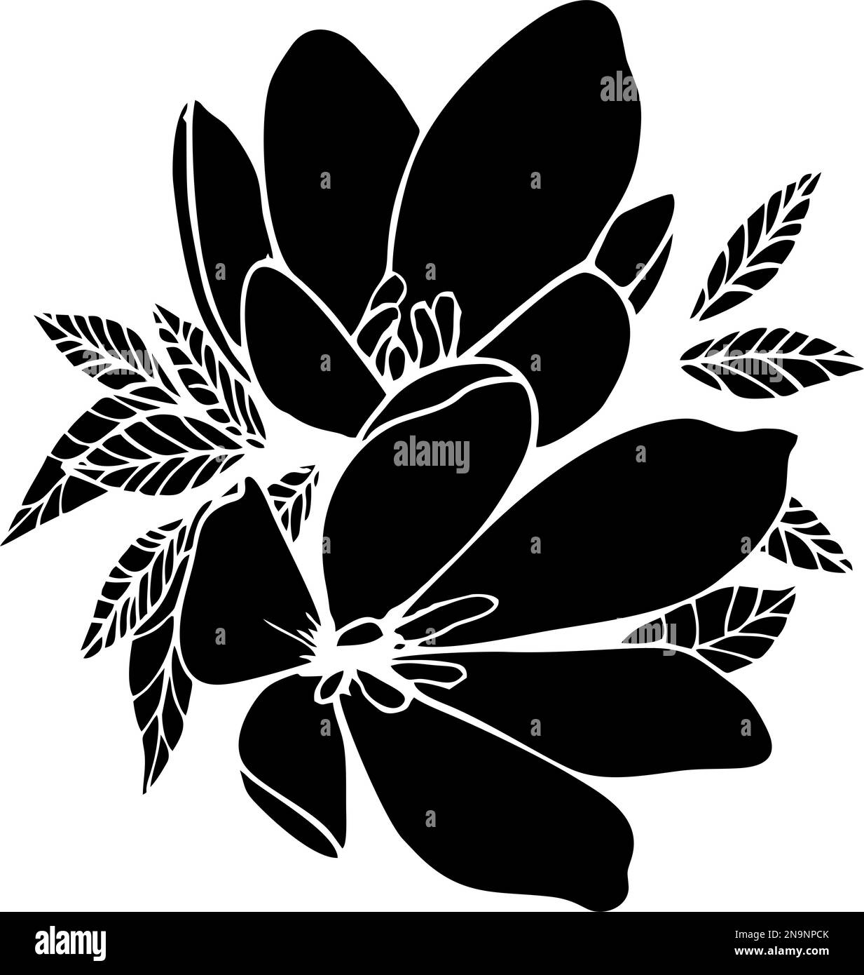 disegno contorno nero di due grandi fiori con foglie Foto Stock