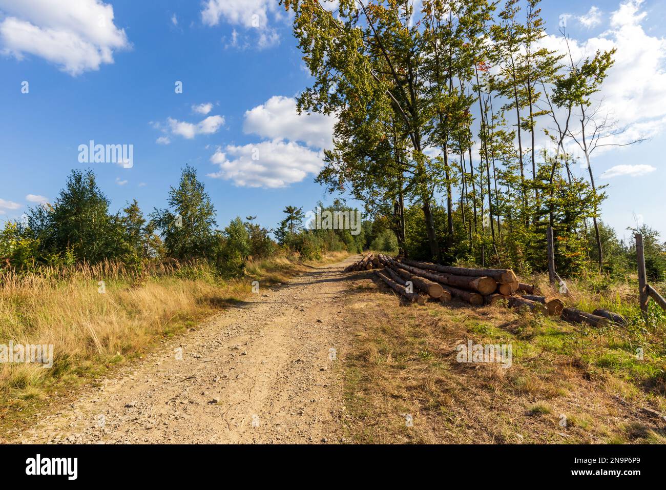 Percorso trekking, percorso escursionistico, avventura concept paesaggio, percorso per il Monte Barania Gora nei Monti Beskid in Polonia Foto Stock