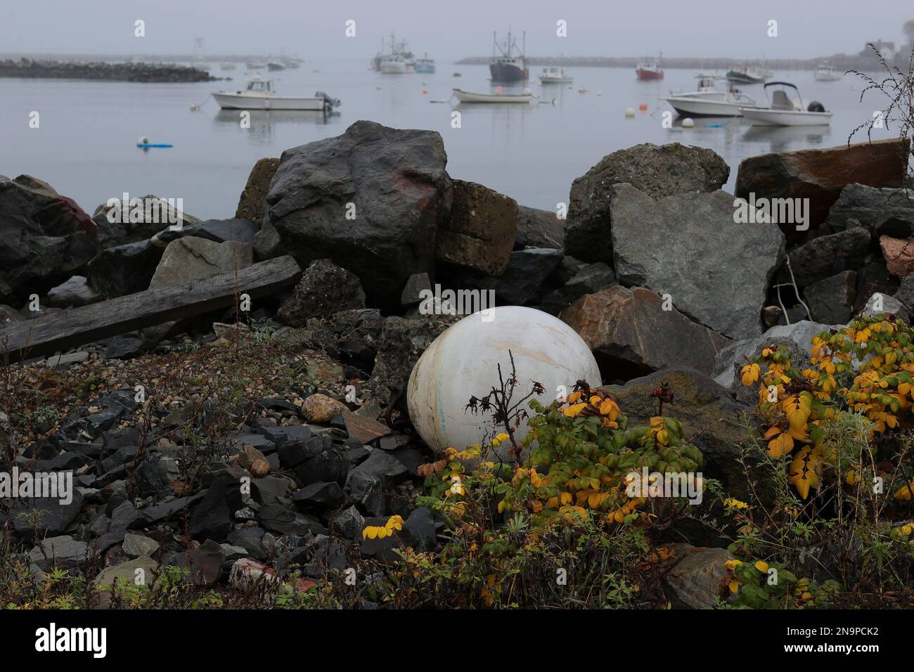 Il Porto di Rye e' subito sulla strada da Hampton Beach e la sua trafficata striscia commerciale. Rye è un mondo lontano da Hampton, visivamente parlando. Piccolo beac tranquillo Foto Stock