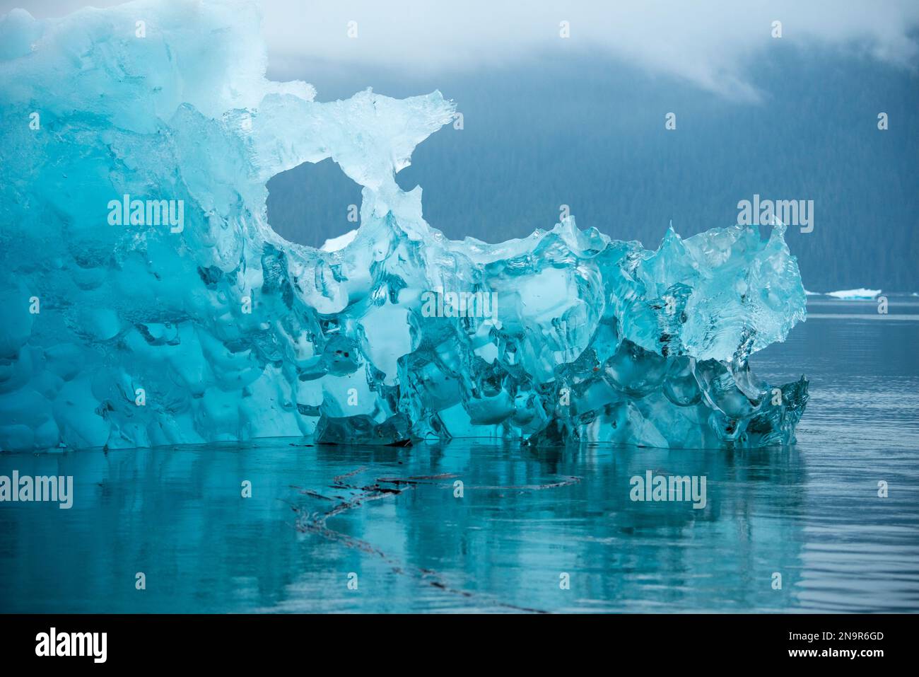 Primo piano di una splendida formazione di iceberg in blu dal ghiacciaio le Conte vicino a Petersburg, Inside Passage, Alaska; Alaska, Stati Uniti d'America Foto Stock