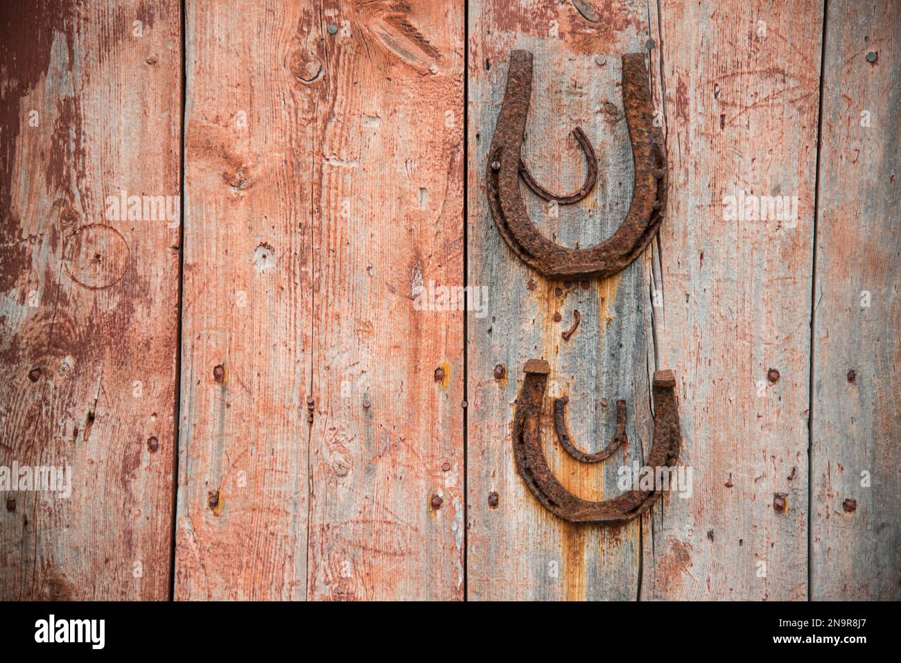 Vecchi ferro di cavallo arrugginiti appendono su una porta di legno; Battle Harbour, Terranova e Labrador, Canada Foto Stock