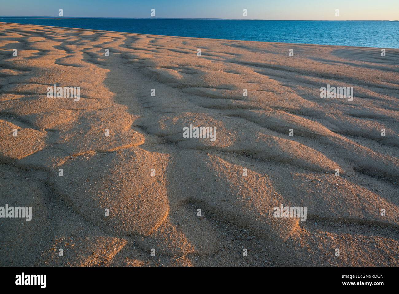 Formazioni di marea nell'arenaria della barriera corallina di Montgomery in Australia; Kimberley, Australia Occidentale, Australia Foto Stock