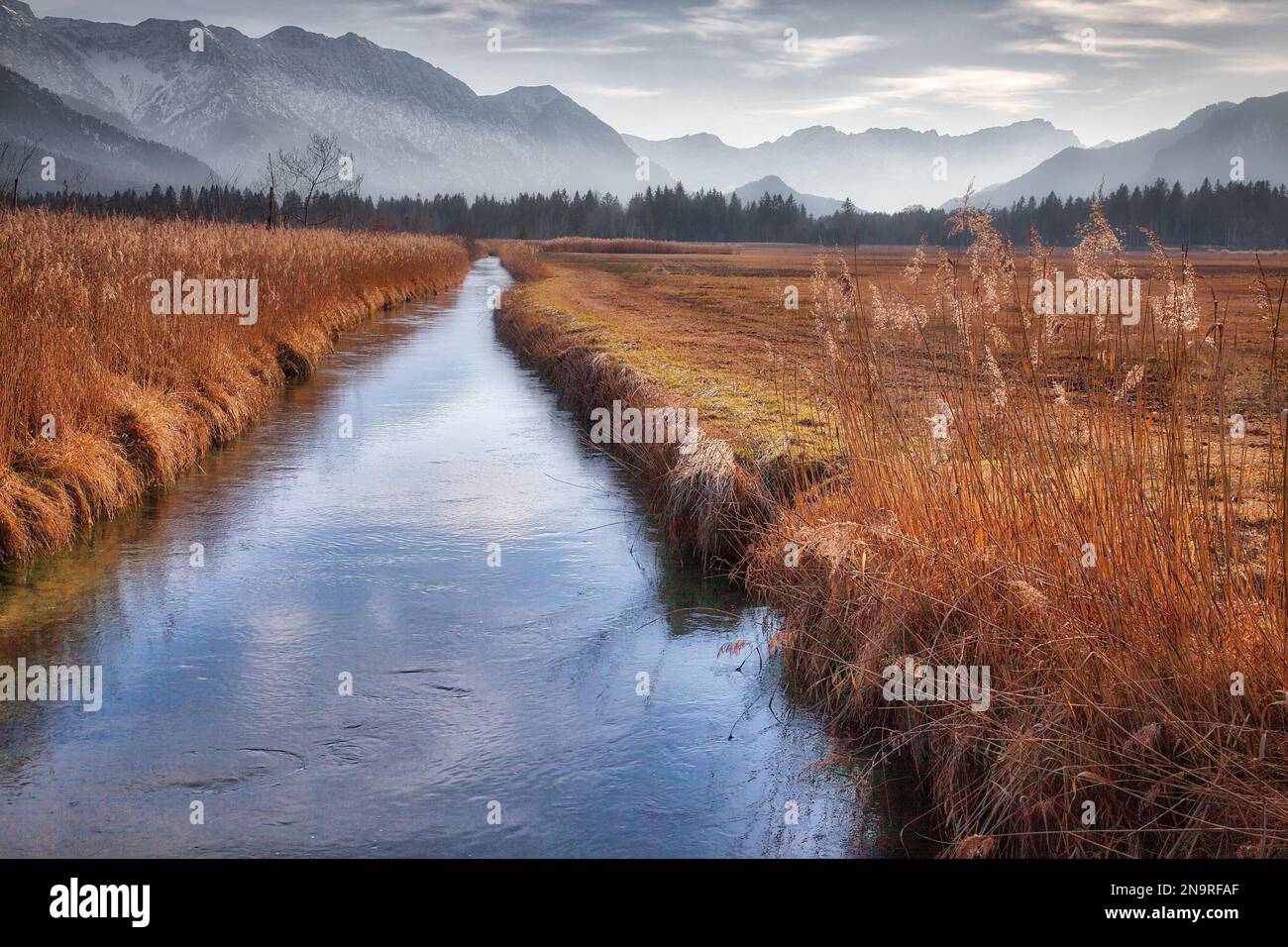 DE - BAVIERA: Murnauer Moos Parco Naturale, Oberbayern Foto Stock