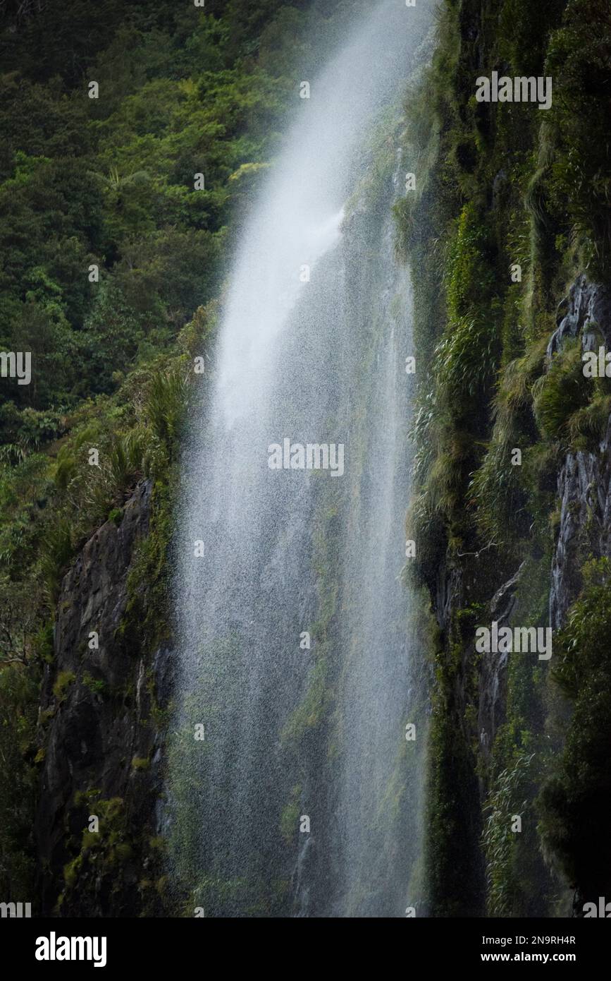 Primo piano di una cascata e nebbia su una scogliera muschiata su Milford Sound, South Island, nuova Zelanda. Foto Stock