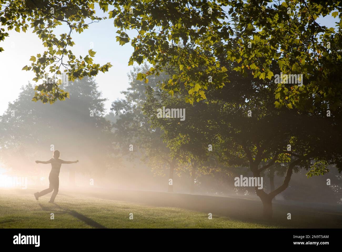 Ragazza che cammina attraverso la nebbia e la luce del sole all'alba in un parco; Portland, Oregon, Stati Uniti d'America Foto Stock
