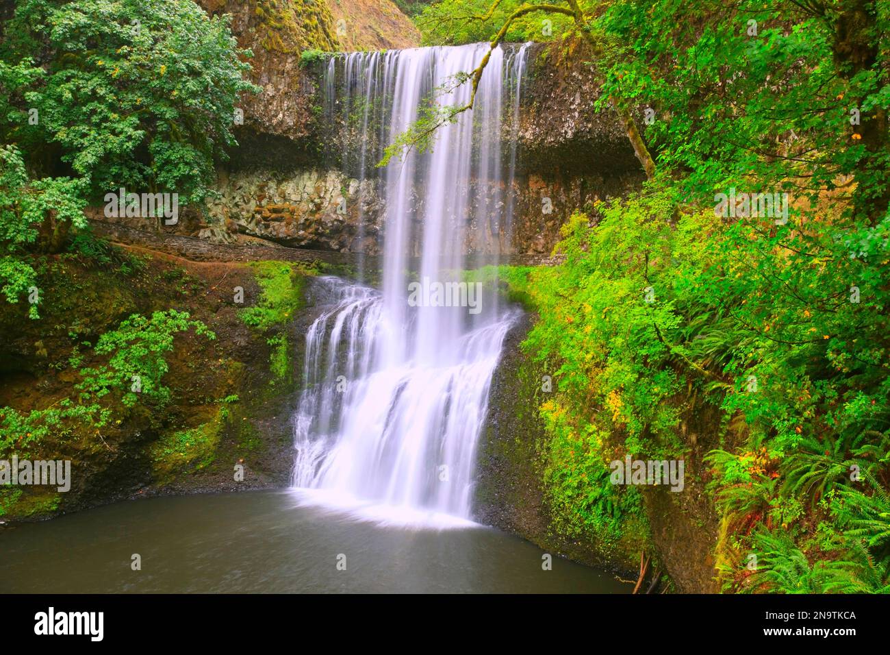 Cascate del sud del Silver Falls State Park sull'Oregon Trail; Oregon, Stati Uniti d'America Foto Stock