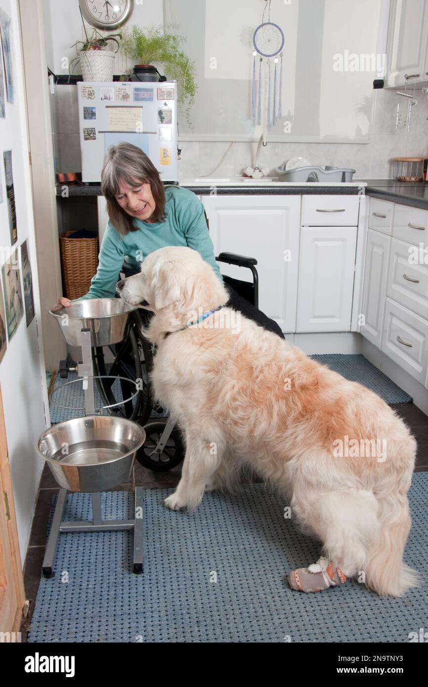 Donna disabile in sedia a rotelle la preparazione di cibo per il suo cane Foto Stock