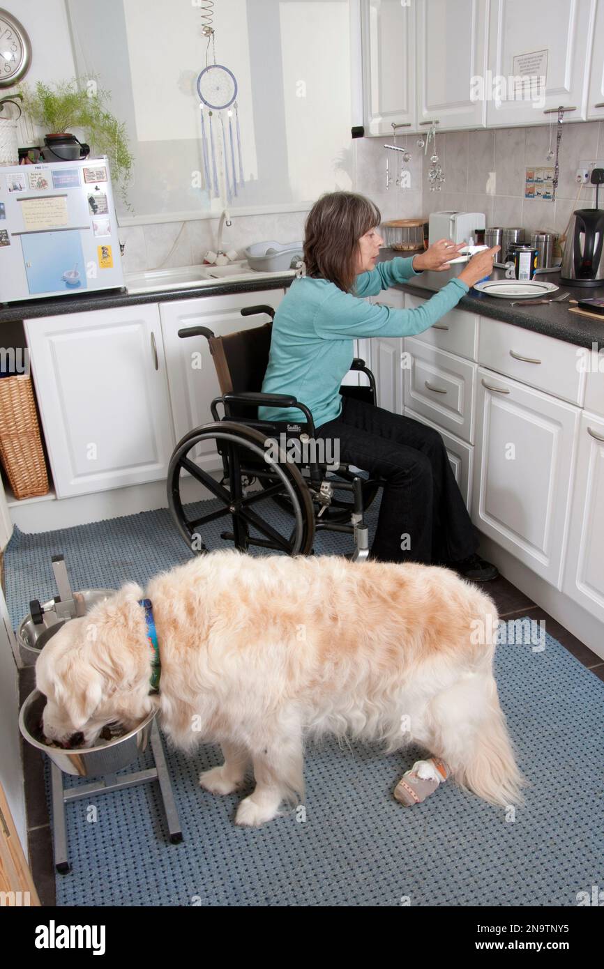 Donna disabile in sedia a rotelle in cucina con il suo cane Foto Stock