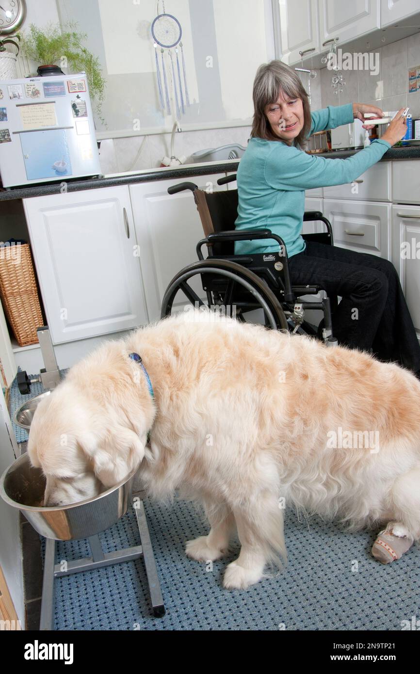 Donna disabile in sedia a rotelle in cucina con il suo cane Foto Stock