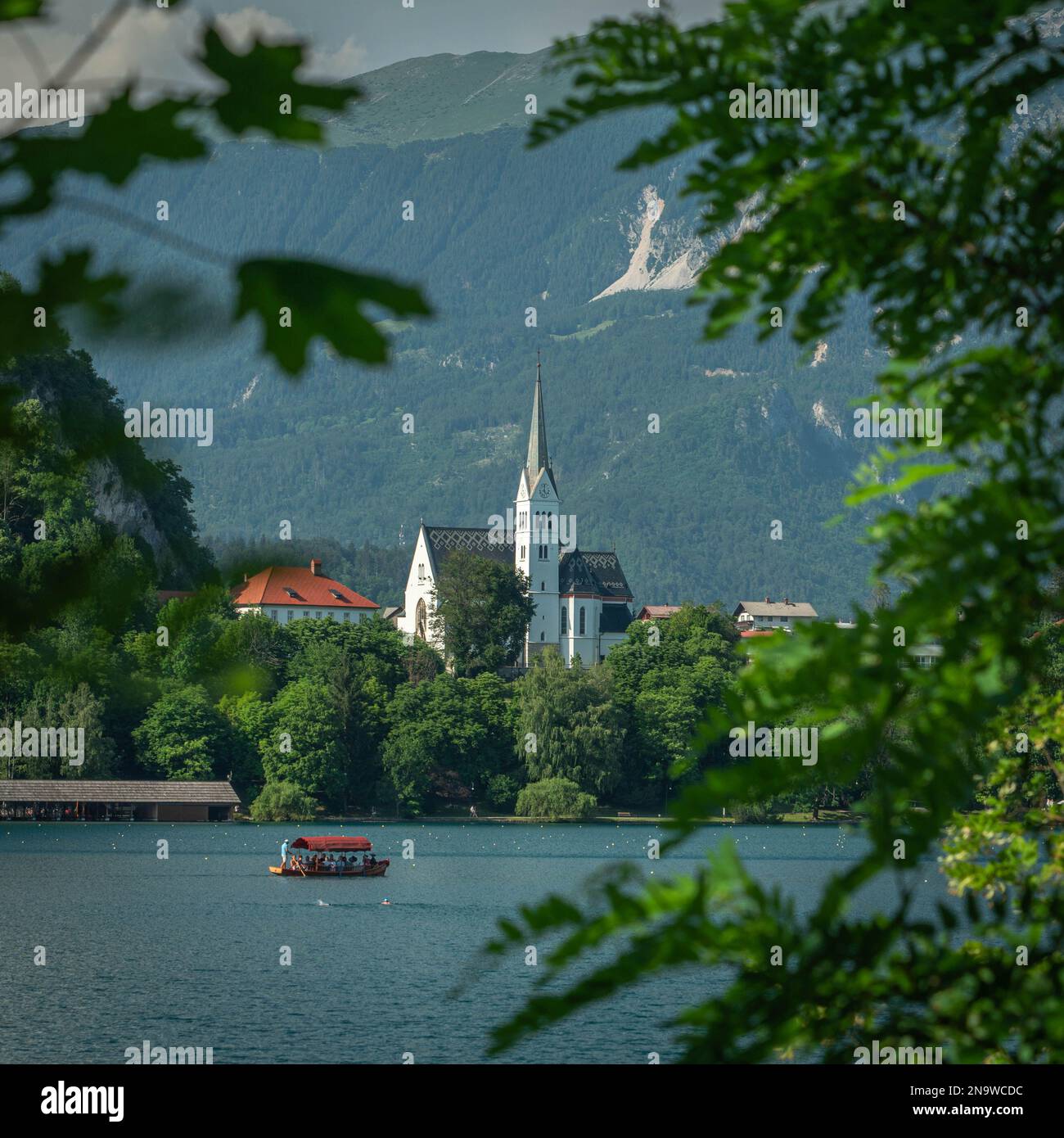 Lago di Bled con una chiesa Zupnijska cerkev svetega Martina- Chiesa di San Martina, Bled, in una cornice di foglie in estate giorno Foto Stock