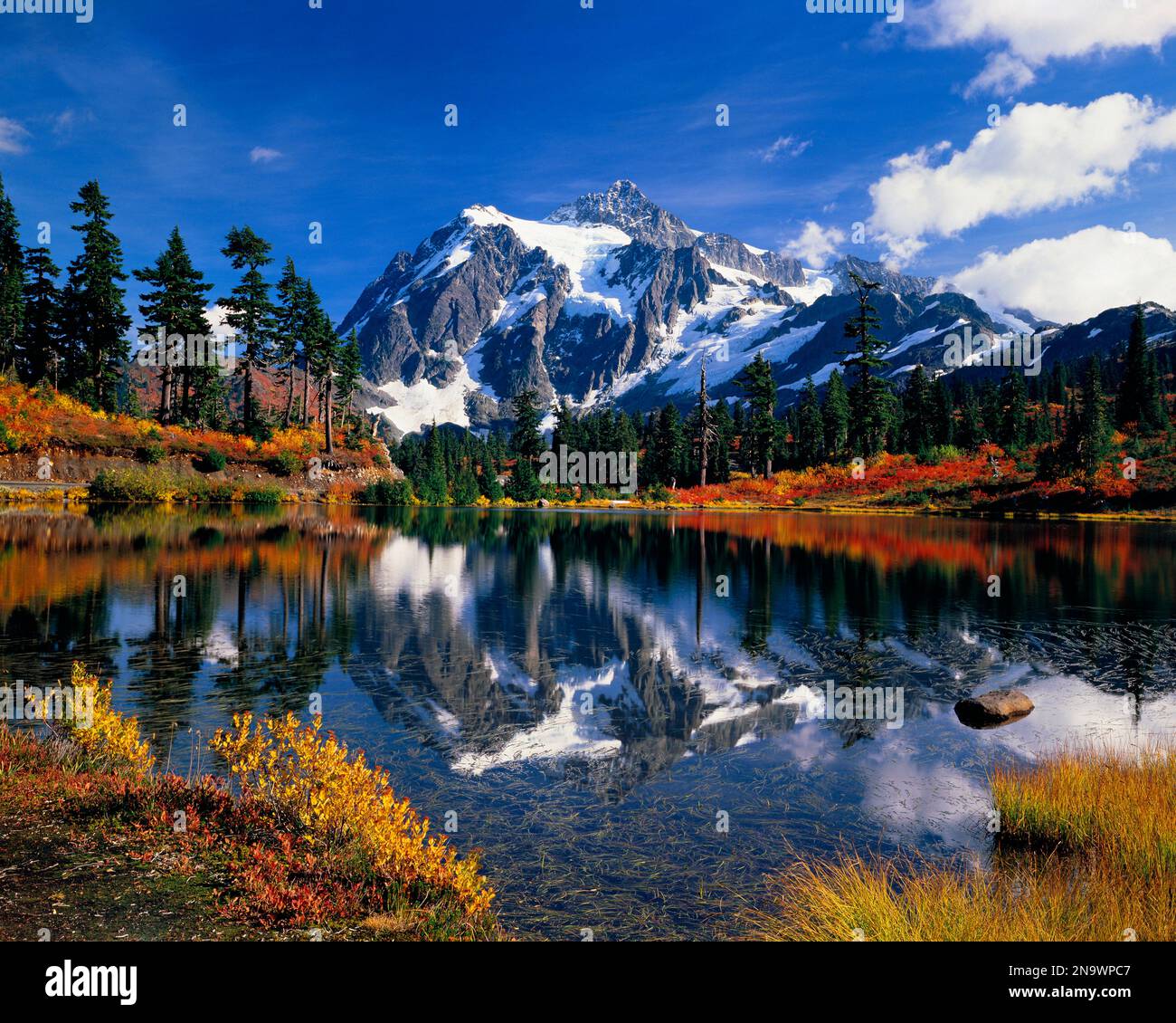 Fioritura autunnale che circonda Picture Lake, Mount Baker-Snoqualmie National Forest nel North Cascades National Park, Stato di Washington, Stati Uniti Foto Stock