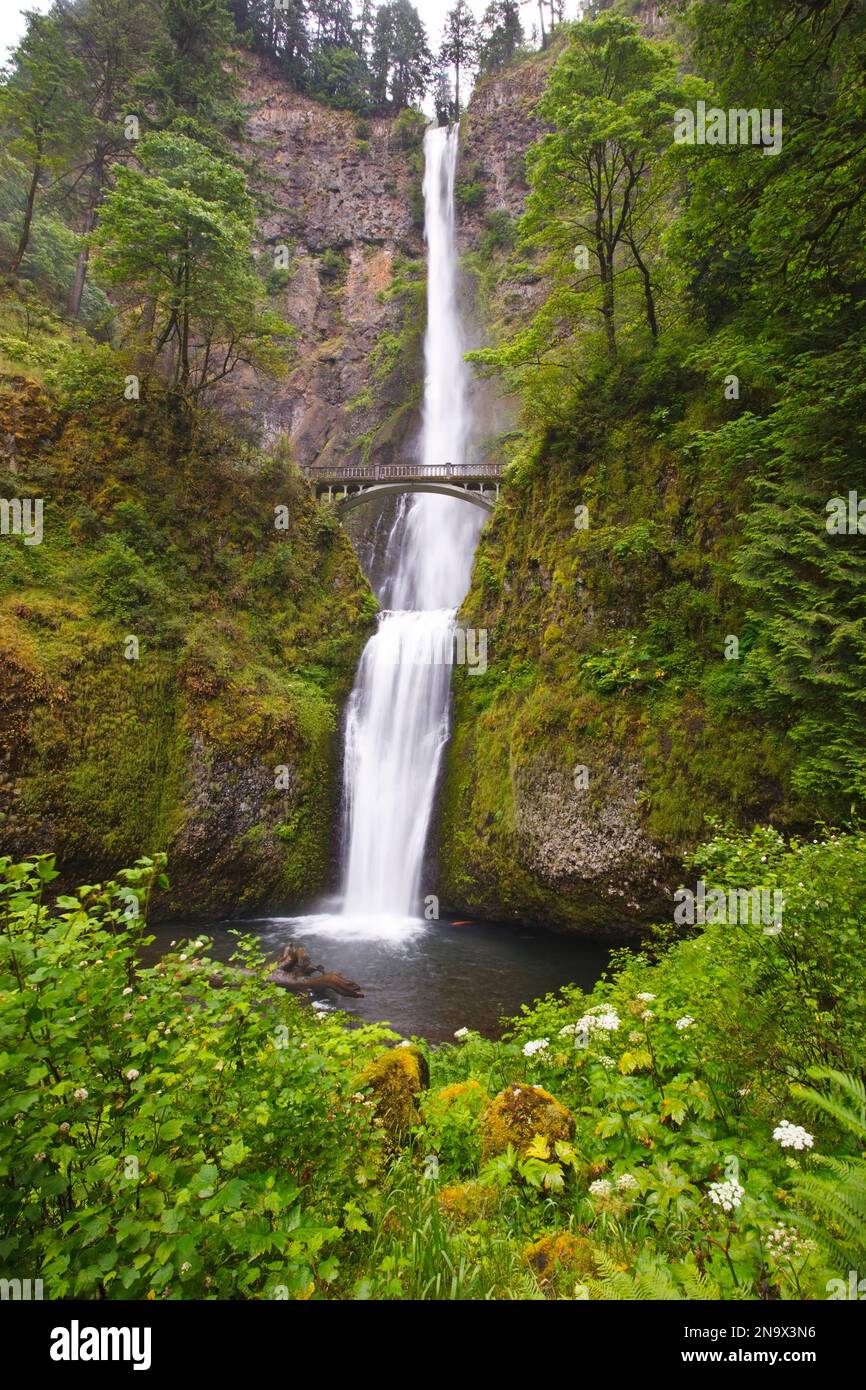 Cascate Multnomah nella Columbia River Gorge National Scenic area; Oregon, Stati Uniti d'America Foto Stock