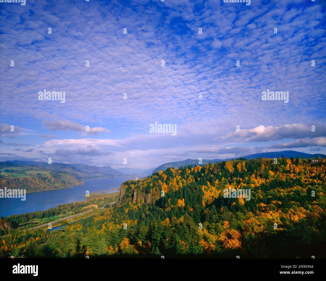 Nuvole e fogliame autunnale lungo il litorale nella gola del fiume Columbia; Oregon, Stati Uniti d'America Foto Stock