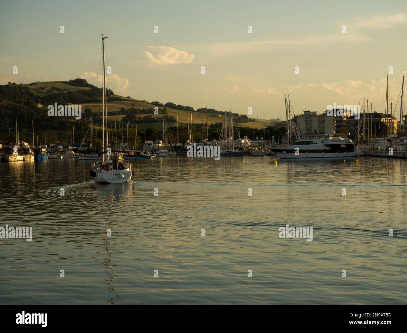 Barca a vela che entra nel porto al tramonto con verdi colline sullo  sfondo, Porto San Giorgio, Marche, Italia © Renzo Frontoni / Axiom Foto  stock - Alamy