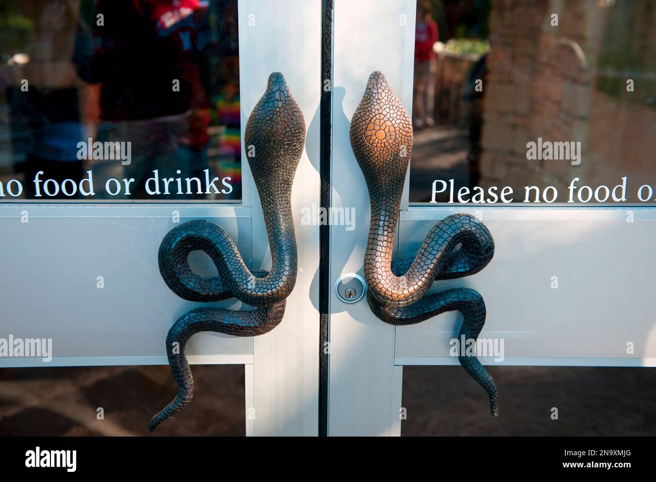 Maniglie per porte Cobra allo zoo di Fort Worth; Fort Worth, Texas, Stati Uniti d'America Foto Stock
