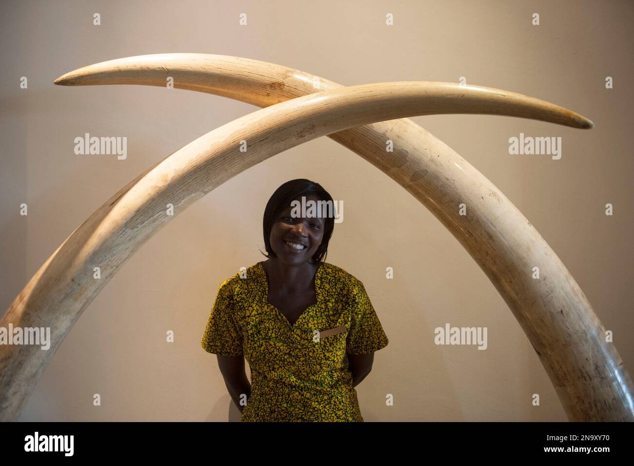 La donna si trova sotto un arco fatto di zanne di elefante nel Queen Elizabeth National Park, Uganda, Africa; Uganda Foto Stock