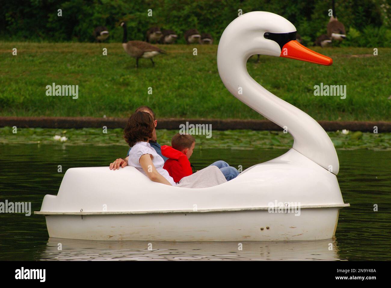 Una famiglia che si gode una gita in barca a cigno in uno stagno del parco; Providence, Rhode Island. Foto Stock