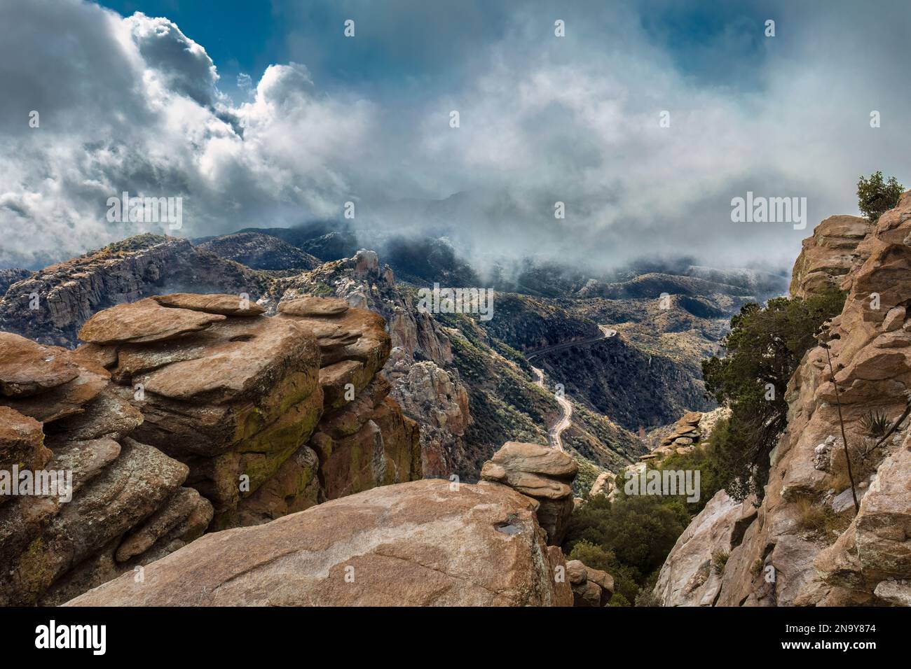 Vista dal Monte Lemmon, Santa Catalina Mountains, Arizona Foto Stock