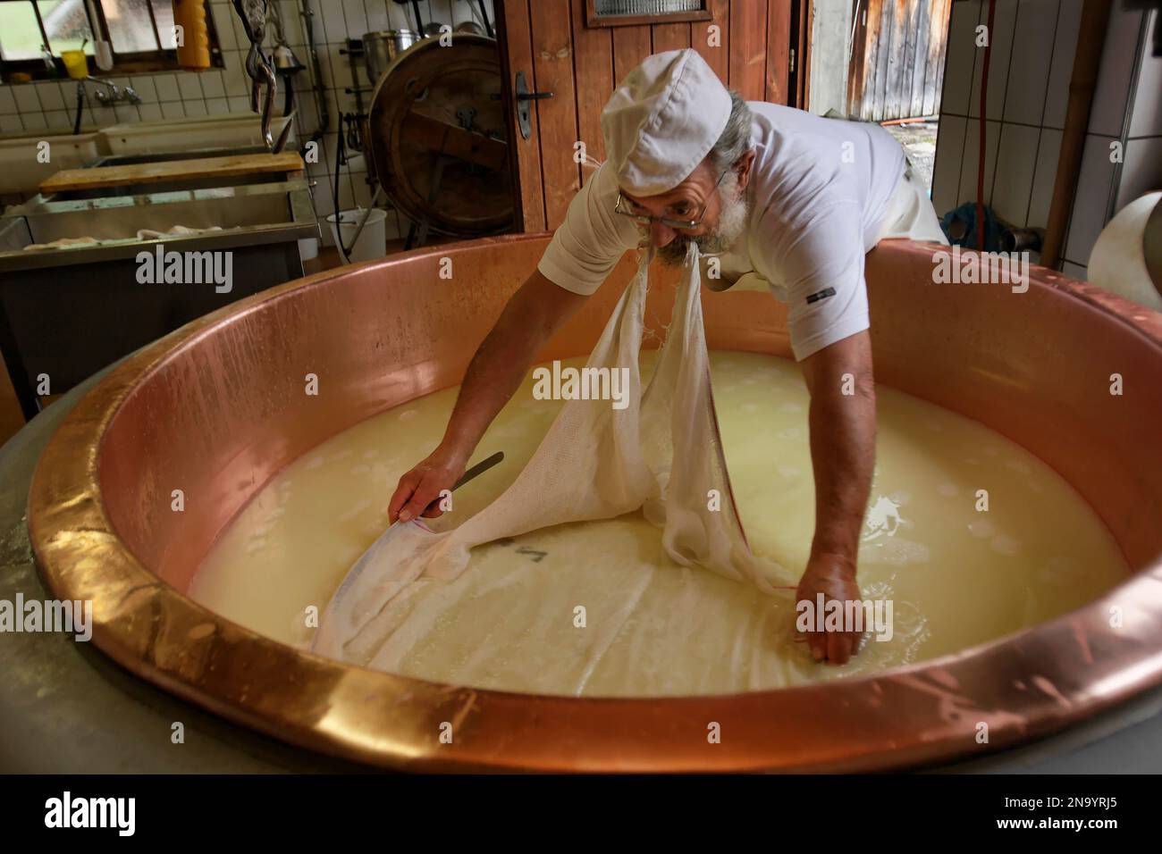 Il lavoratore distribuisce il panno di formaggio mentre prepara il formaggio Alkase in un bollitore di rame. Una caratteristica distintiva dei formaggi svizzeri è l'uso del rame. In... Foto Stock