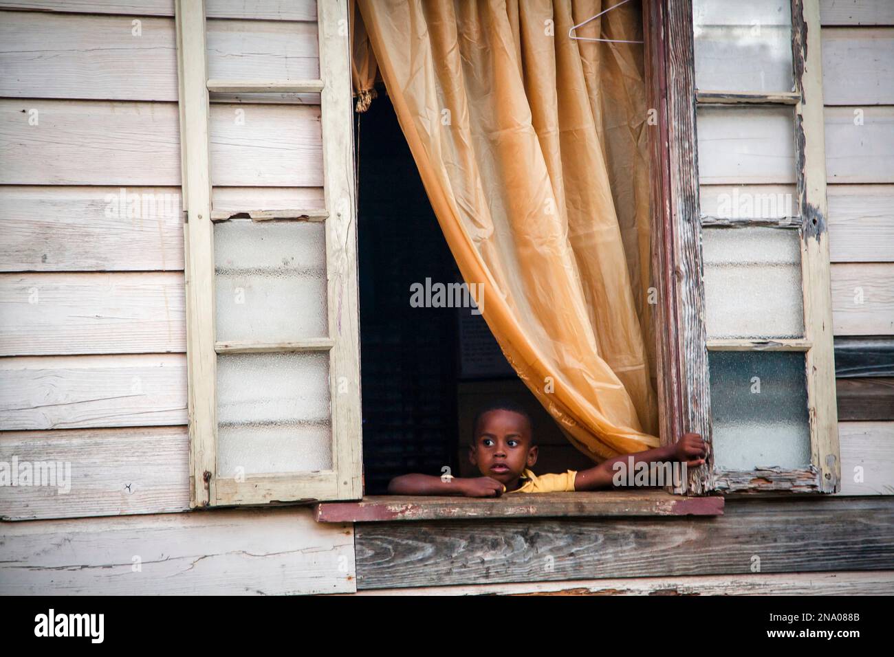 Il ragazzo fa la sua apparizione fuori dalle finestre della sua casa su un'isola caraibica; Bathsheba, Barbados Foto Stock