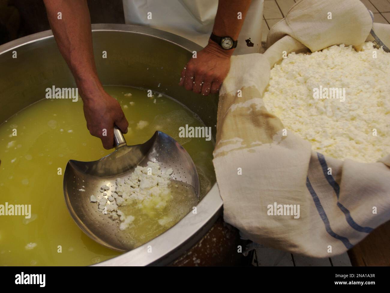 Produzione di formaggi in Tirolo; Tirolo, Austria Foto Stock