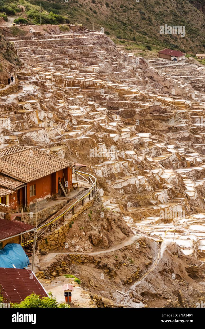 Salineras de Maras, Maras Saline, Valle Sacra, Perù, Sud America Foto Stock
