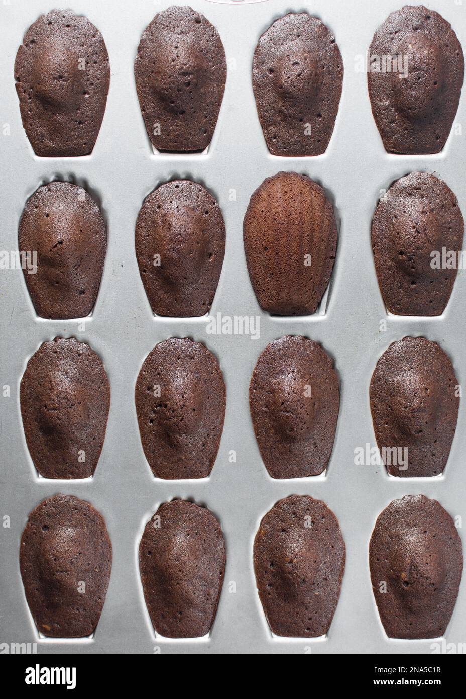 Deliziosi biscotti madeleine in stampo da forno su tavolo bianco, primo  piano Foto stock - Alamy