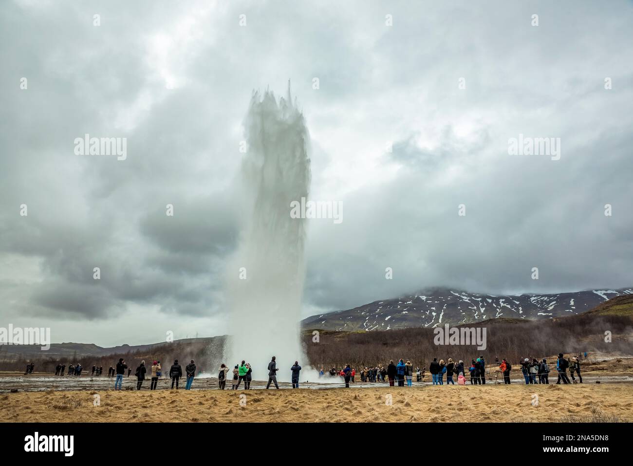 Geyser Strokkur nella valle di Haukadalur; Islanda Foto Stock