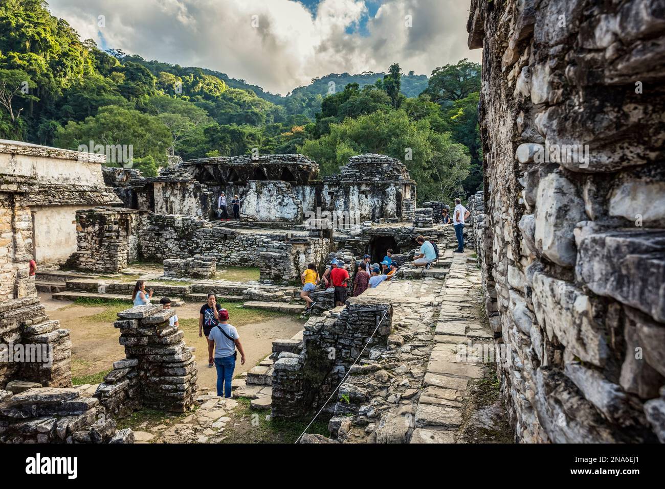 Rovine della città Maya di Palenque; Chiapas, Messico Foto Stock