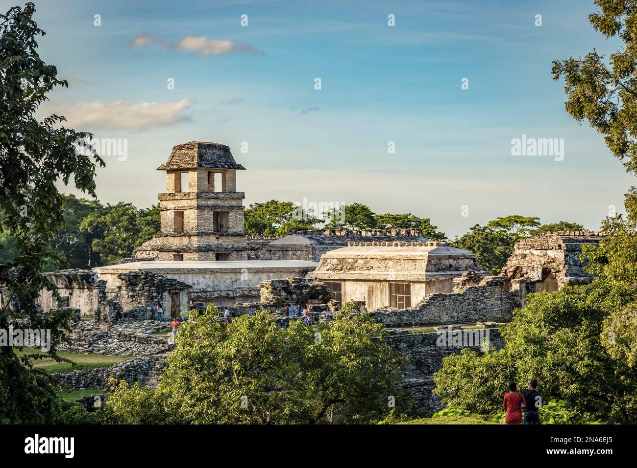Rovine della città Maya di Palenque; Chiapas, Messico Foto Stock
