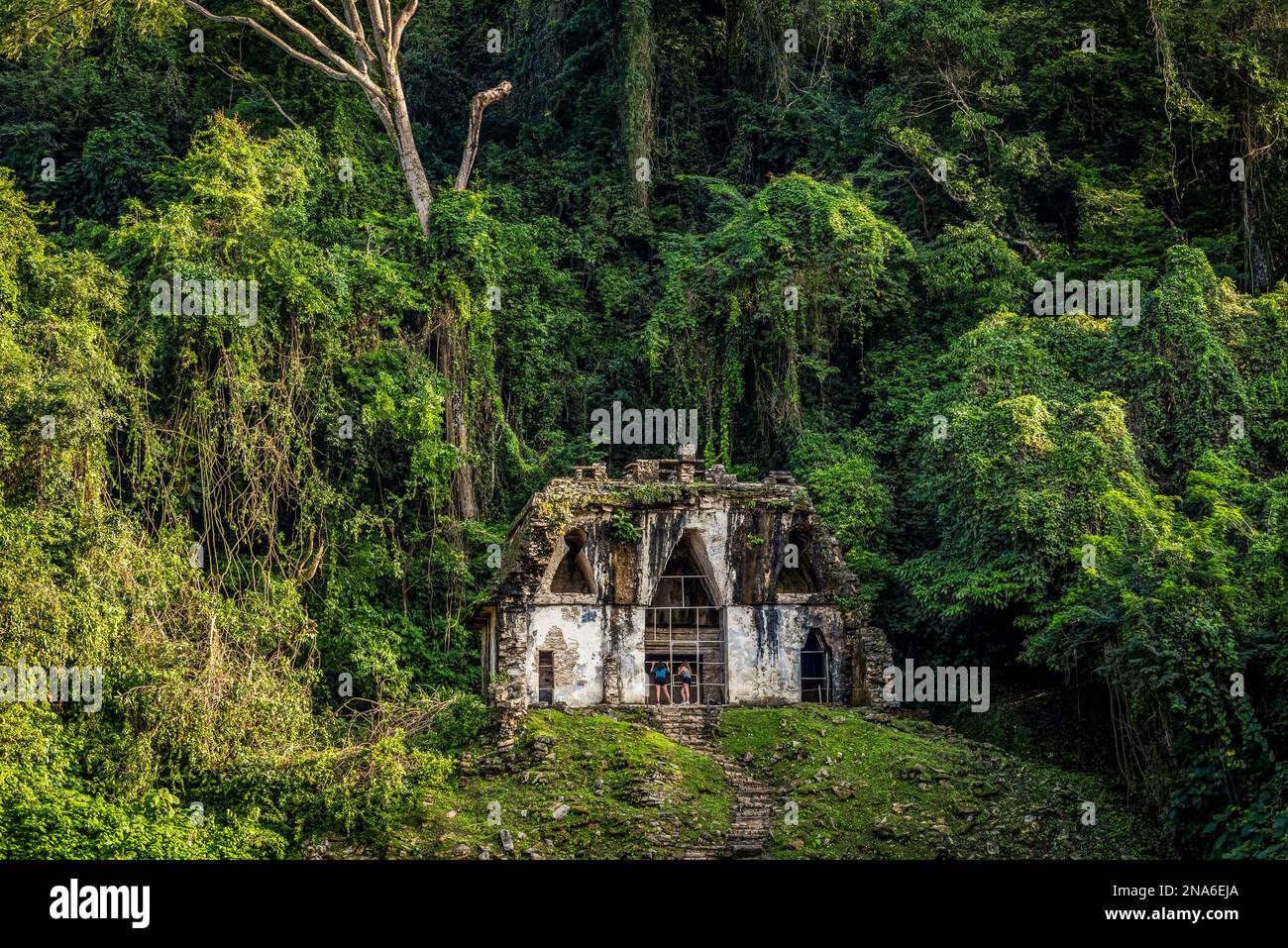 Tempio della Croce Foliata rovine della città Maya di Palenque; Chiapas, Messico Foto Stock