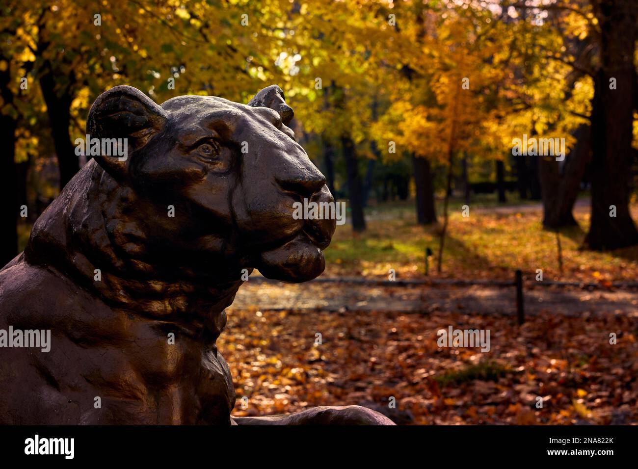 La testa del monumento al leone nel parco cittadino sullo sfondo del fogliame giallo autunnale. Odessa Ucraina. Foto Stock