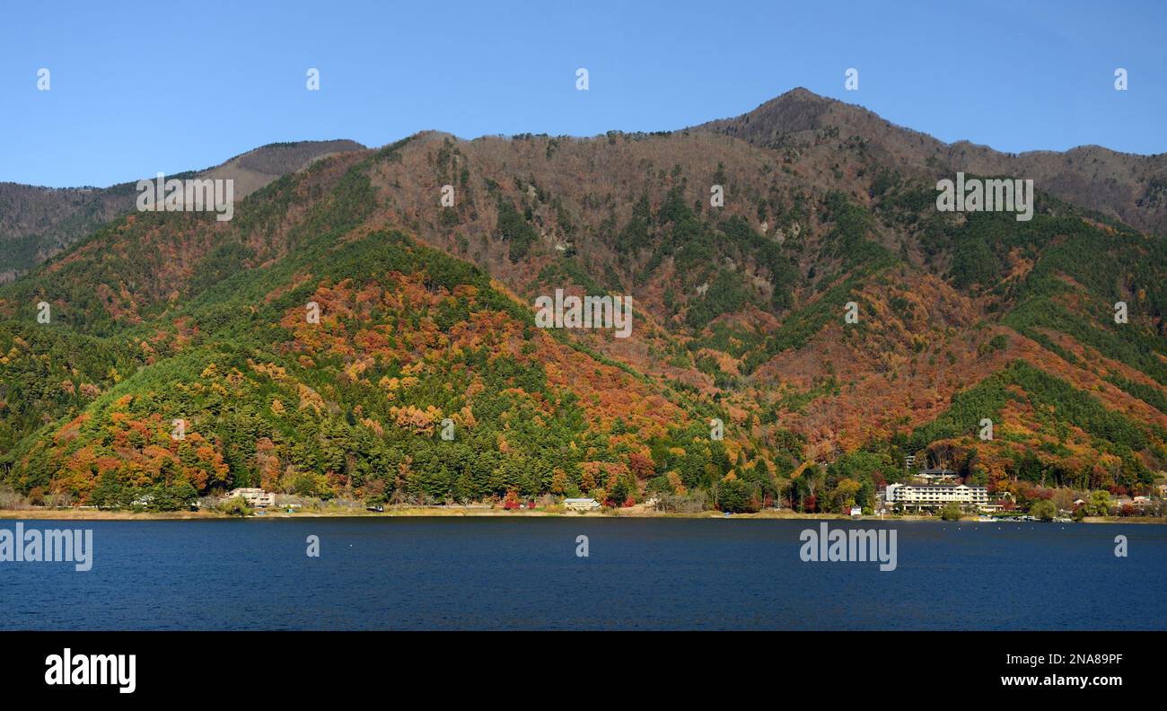Colori autunnali intorno al lago Kawaguchiko nella prefettura di Yamanashi, Giappone. Foto Stock