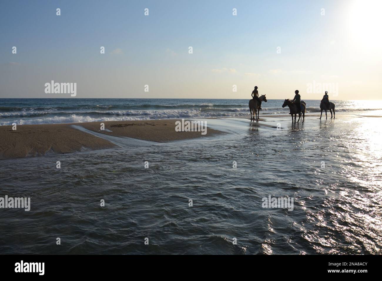 La silhouette di tre persone su cavalli in piedi in acqua che si avvicinano al mare in una giornata di sole Foto Stock