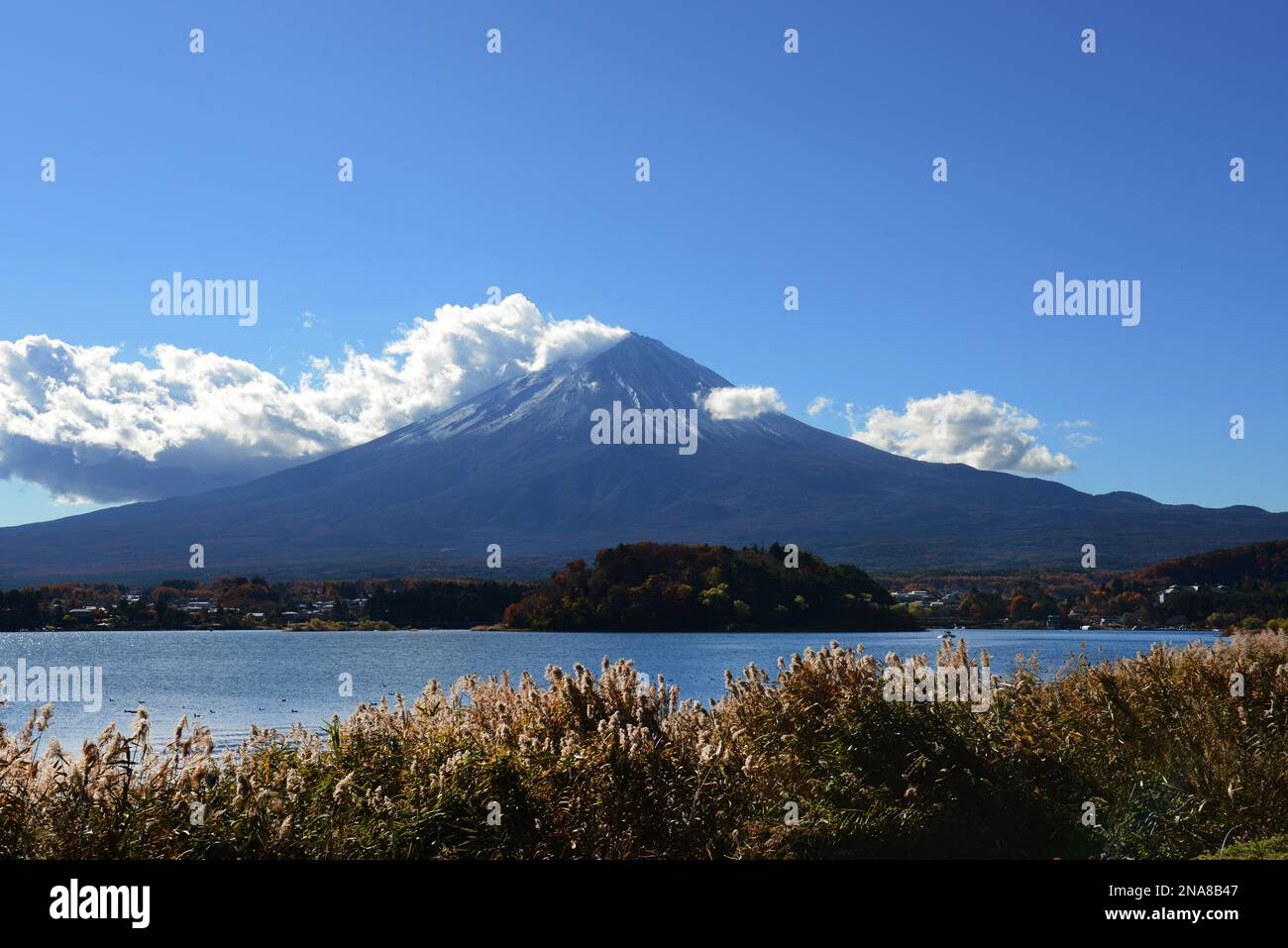 Una vista del Monte Fuji dal Lago Kawaguchiko nella prefettura di Yamanashi, Giappone. Foto Stock