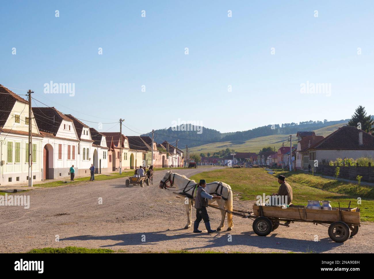 Consegna del latte a cavallo e cart nel villaggio rurale sassone, Transilvania, Romania Foto Stock