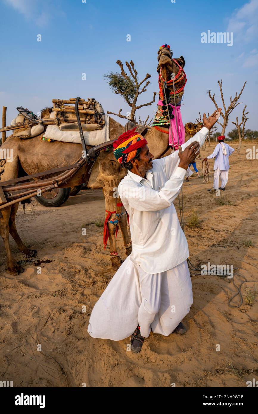 Rajput uomo cantando al suo cammello nel deserto del Thar Rajasthan, India Foto Stock