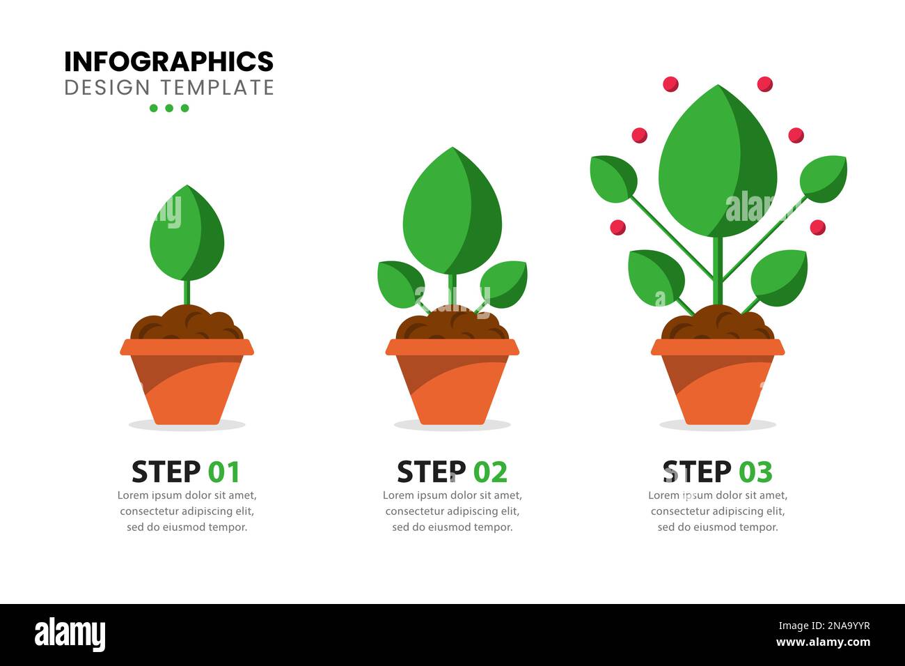 Modello infografico con 3 piante. Può essere utilizzato per il layout del flusso di lavoro, il diagramma, il banner, il webdesign. Illustrazione vettoriale Illustrazione Vettoriale