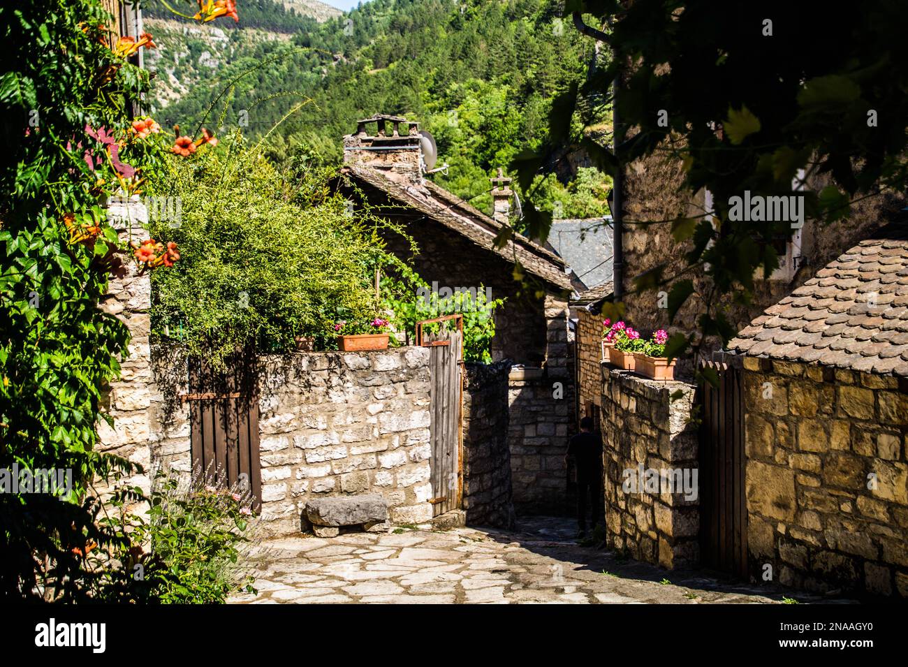 Un bel colpo di vecchie case in pietra a Sainte-Enimie, Lozere, Francia, Europa Foto Stock