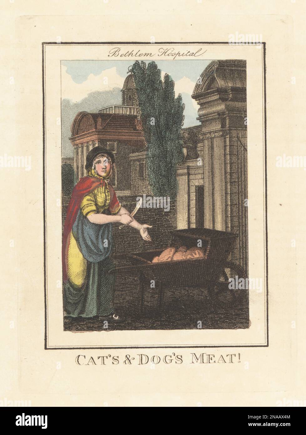 Donna che vende alimenti per animali domestici di fronte al Bethlem Hospital, Londra, 1805. In cofano, mantello, vestito e grembiule, tenendo un coltello grande con un carriola di carne di cavallo e frattaglie. Il cancello, ala est e il giardino parete del Bedlam Hospital, Moorfields. Carne di gatto e cane! Incisione su copperplate a mano di Edward Edwards dopo un'illustrazione di William Marshall Craig dalla Descrizione delle lastre che rappresentano gli Itineranti Traders di Londra, Richard Phillips, n° 71 St Paul's Churchyard, Londra, 1805. Foto Stock