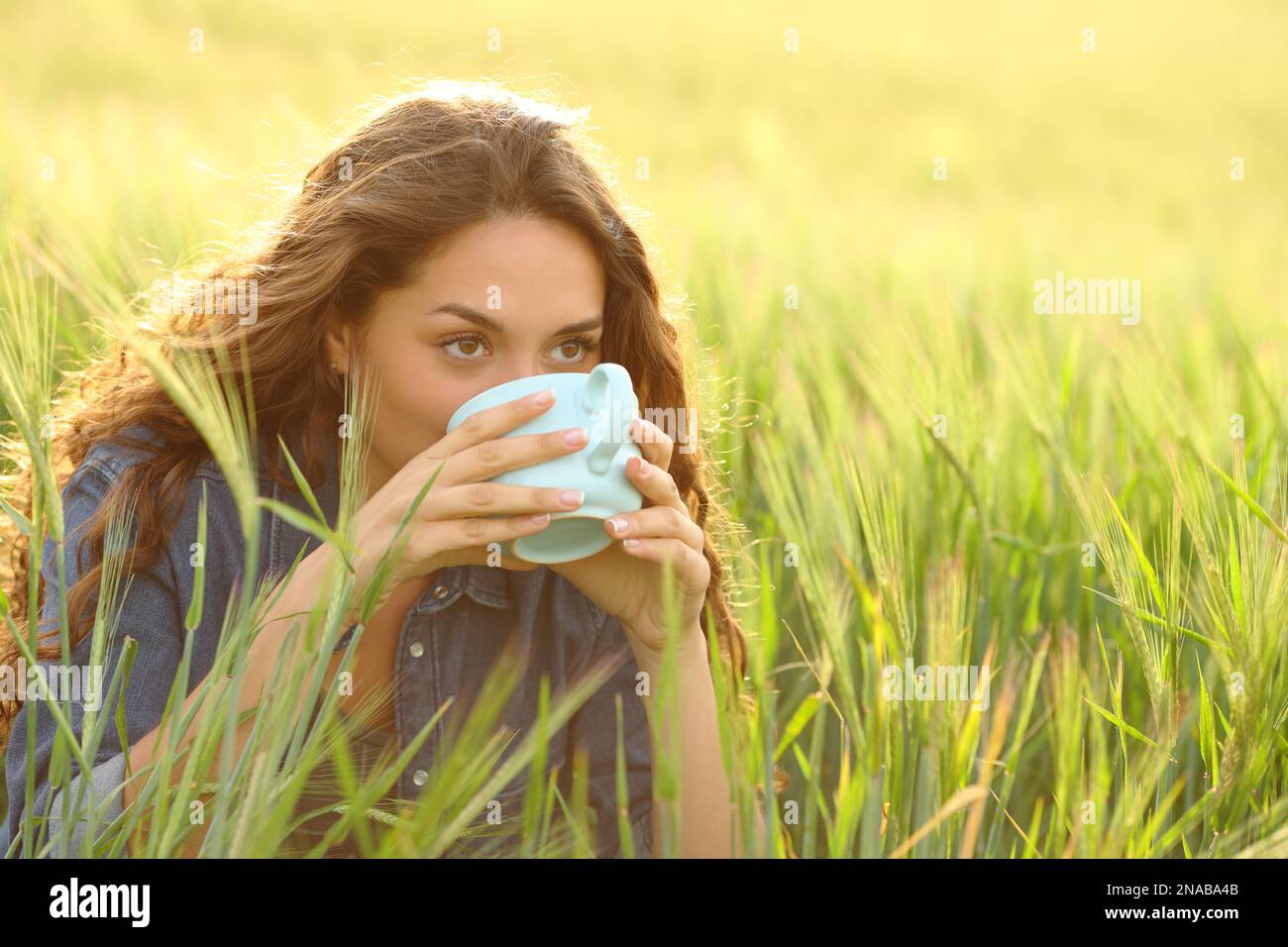 Donna che beve caffè seduto in un campo Foto Stock