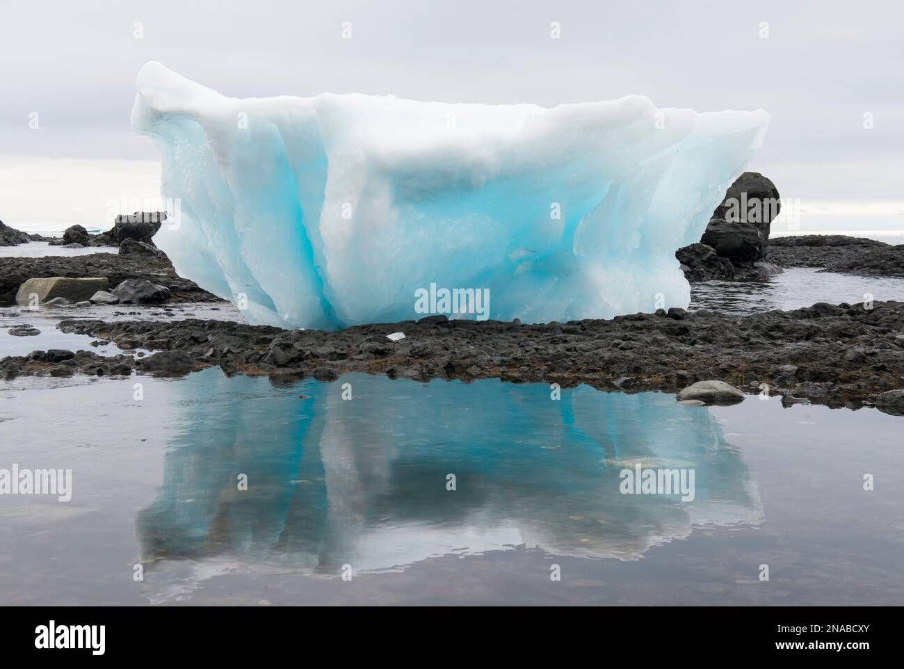 Formazione di ghiaccio blu nell'Oceano australe, Brown Bluff, penisola di Tabarin; Antartide Foto Stock