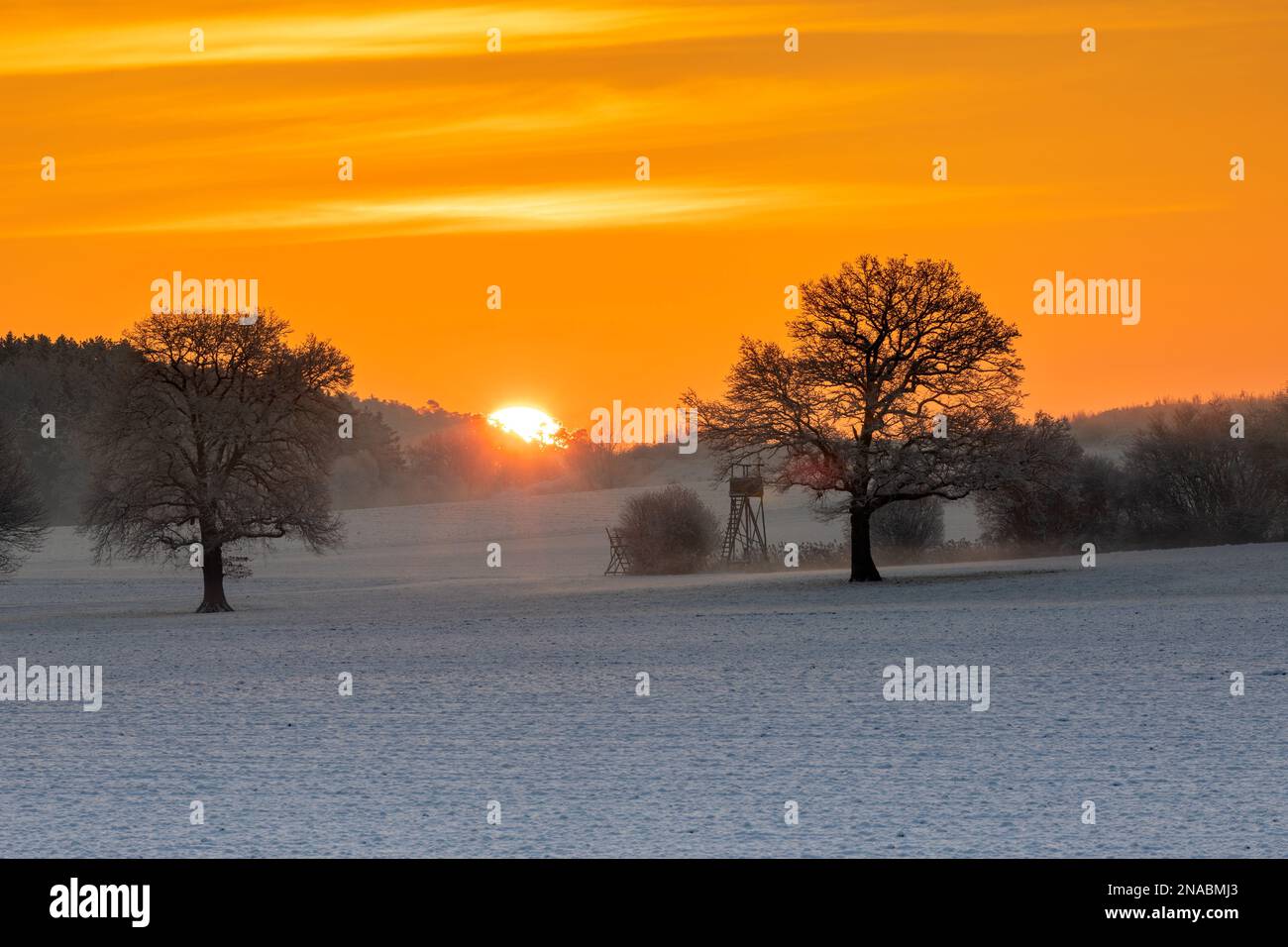 Alba su un campo in Baviera in inverno Foto Stock