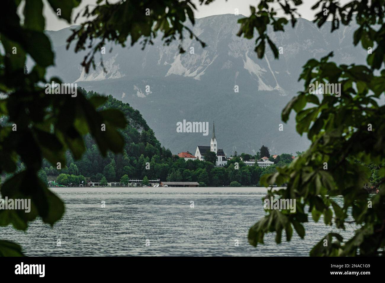 Lago di lama con una chiesa Zupnijska cerkev svetega Martina- Chiesa di San Martina, Bled, in una cornice di foglie in estate giorno Foto Stock