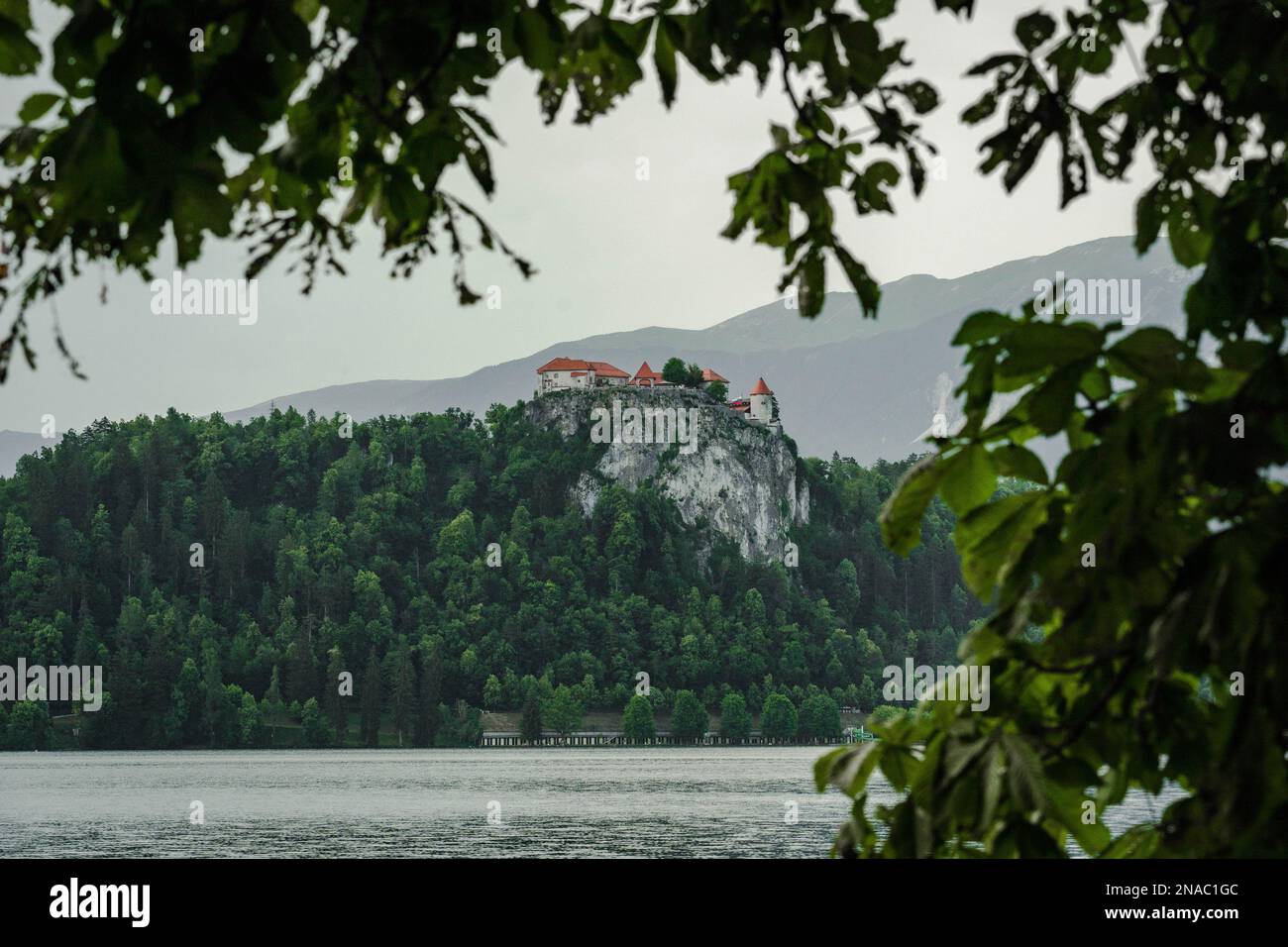 Lago di lama con un castello di Bled, in una cornice di foglie in estate giorno Foto Stock