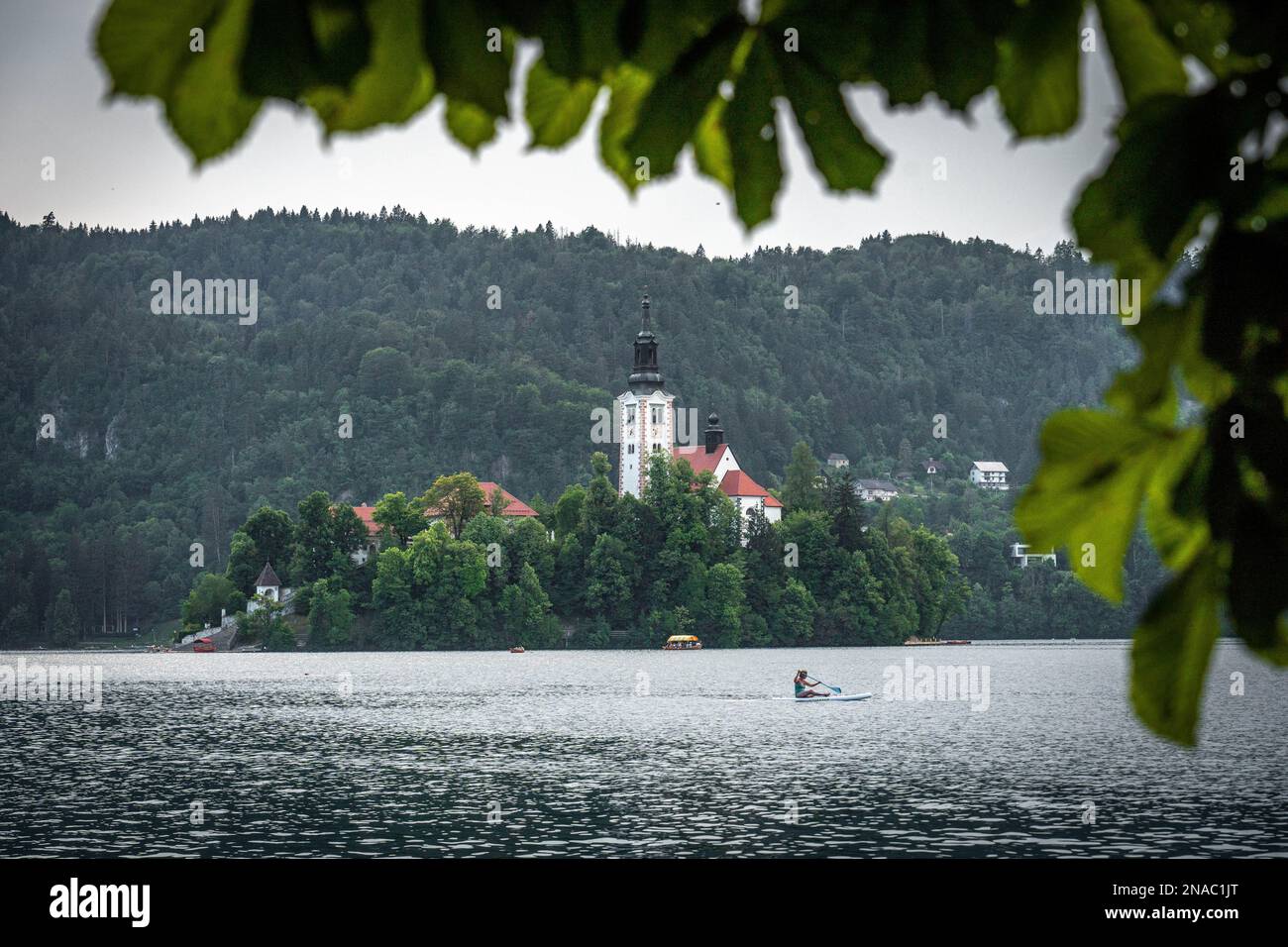 Lago di Bled con una chiesa dell'Assunzione di Maria vista, e una ragazza su una tavola da tavola, in una cornice di foglie in estate giorno. Natura sfondo. Foto Stock